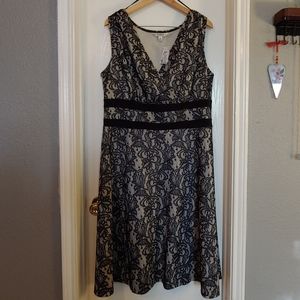 Midi dress with black lace detail NWT